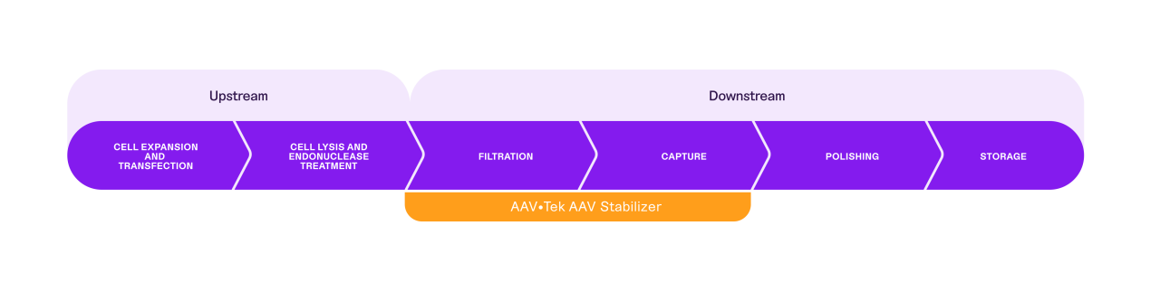 Diagram of the steps in the AAV Workflow showing when to use the AAV Stabilizer